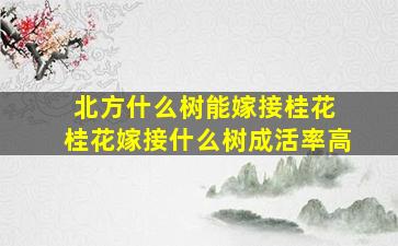 北方什么树能嫁接桂花 桂花嫁接什么树成活率高